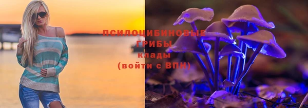 дживик Белокуриха