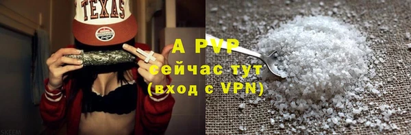 дживик Белокуриха