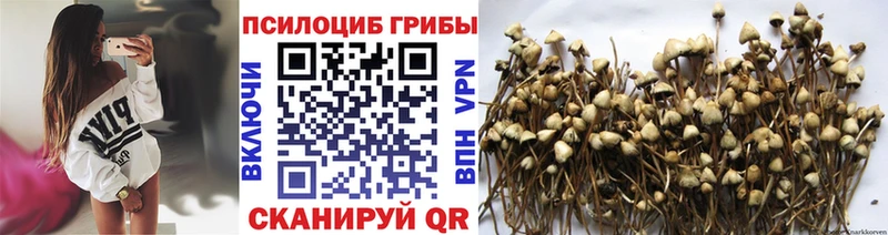 нарко площадка официальный сайт Светлый Псилоцибиновые грибы MAGIC MUSHROOMS